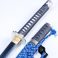 DragonClaw Sword