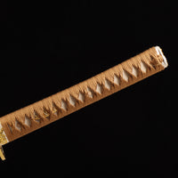 Golden guardian — CK-20260619-E0132