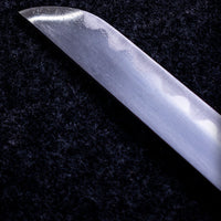 Blade Tip
