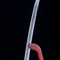 Battle-Ready Skyrim's Dragonbane (SHARP)