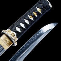 Dragon Fang Wakizashi