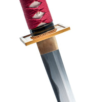 Battle-Ready Kenshi's Sento (SHARP)