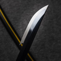 Battle-Ready Shinobu Kocho Katana (SHARP)