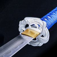 Blue Dragon (ブルードラゴン)