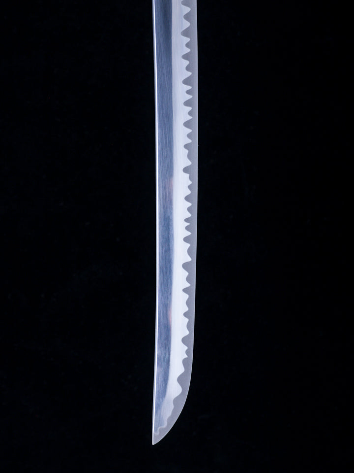 Battle-Ready Skyrim's Dragonbane (SHARP)