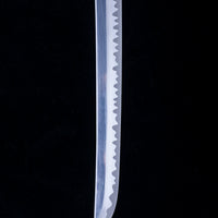 Battle-Ready Skyrim's Dragonbane (SHARP)