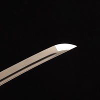 Cursed Falcon — CK-20260609-9B7CA
