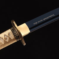 The techno-blade — CK-20260622-E6698