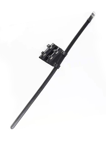 Double Sword Belt Holster