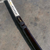 Hidden Dagger Katana (1045 Carbon Steel)